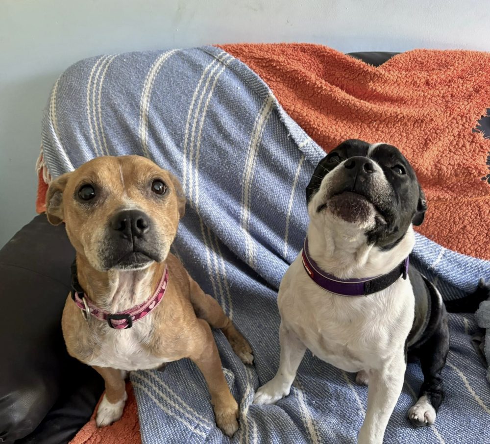 Chunk & Lulu Chunk & Lulu
