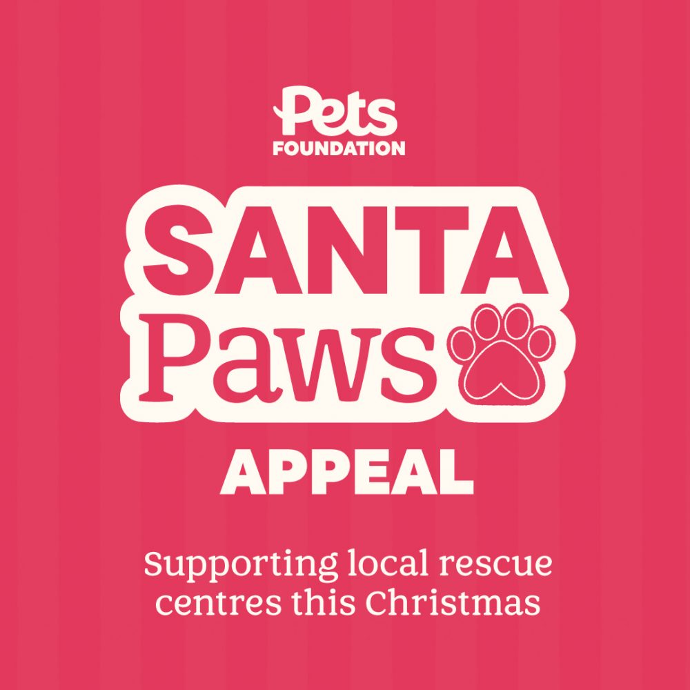 Santa Paws Appeal!