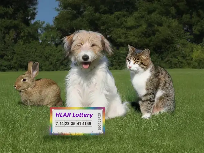 HLAR-Lottery