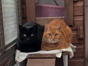 Harry and Bert Harry and Bert