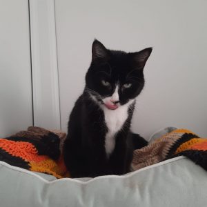 Cleo & Nala Cleo & Nala