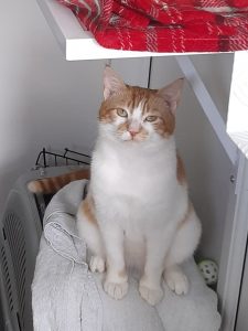 Tim