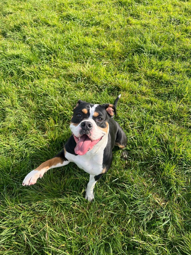 Maggie