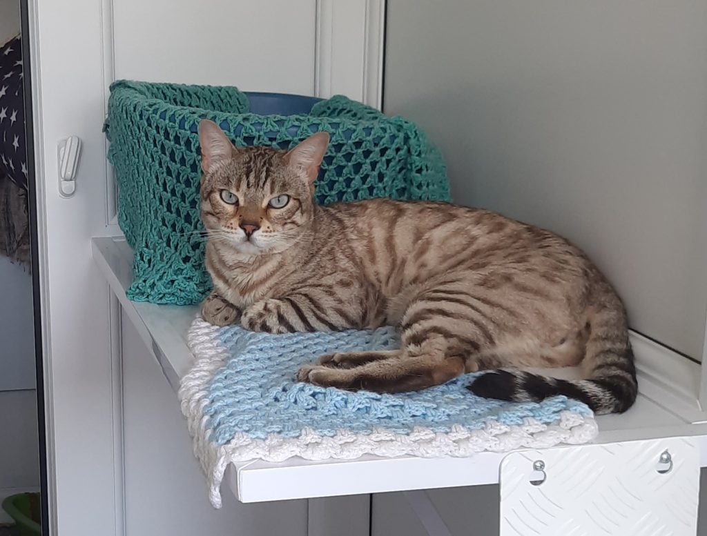 Jasper Jasper