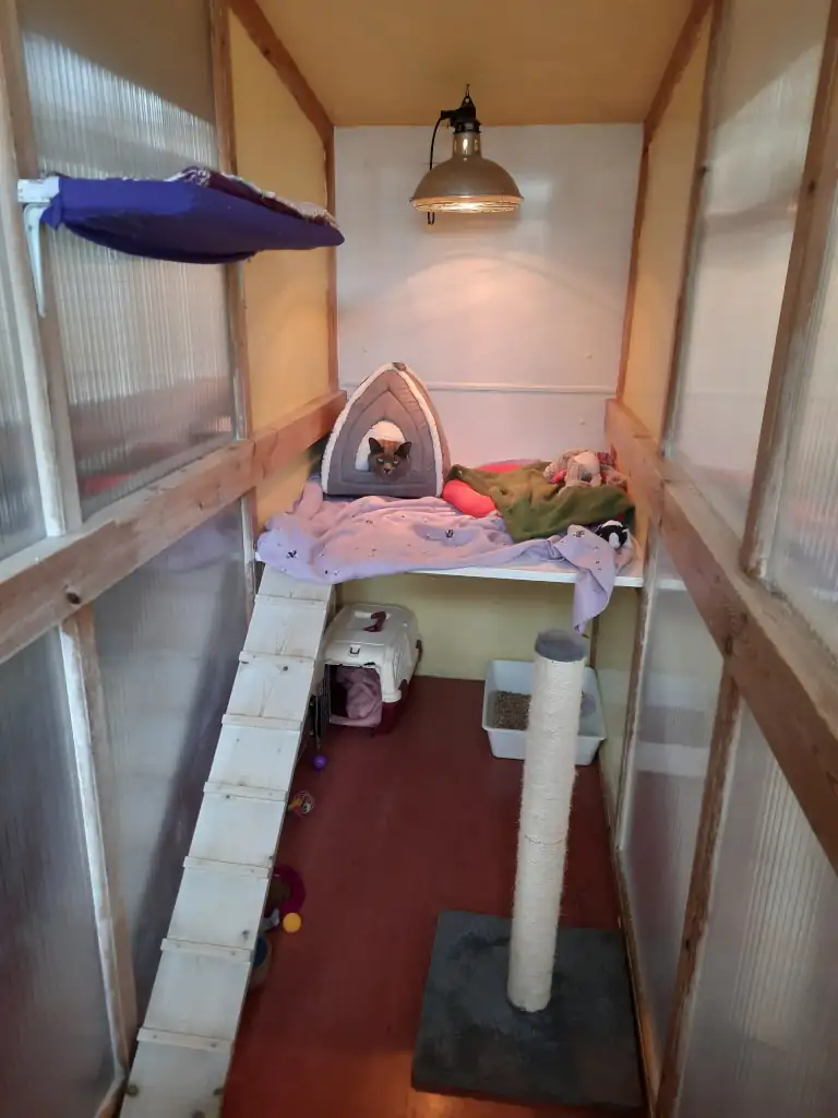 cattery