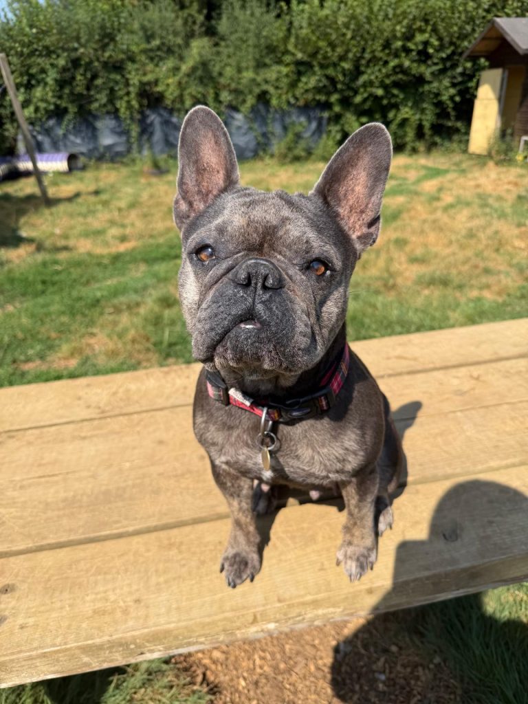 Nala Nala